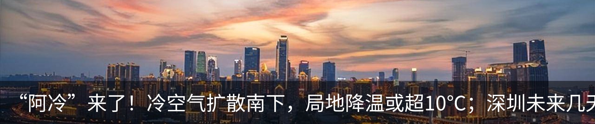 新闻动态