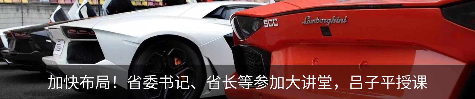 新闻动态