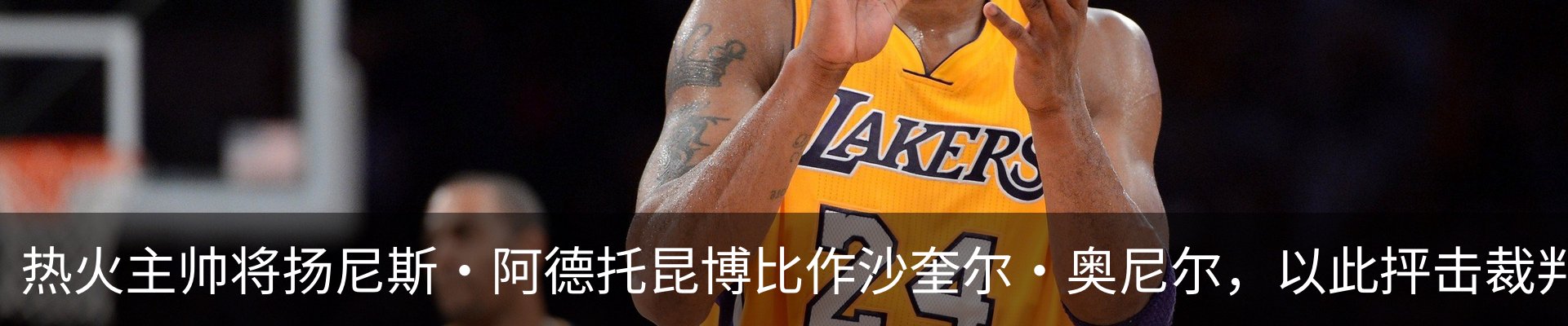 新闻动态
